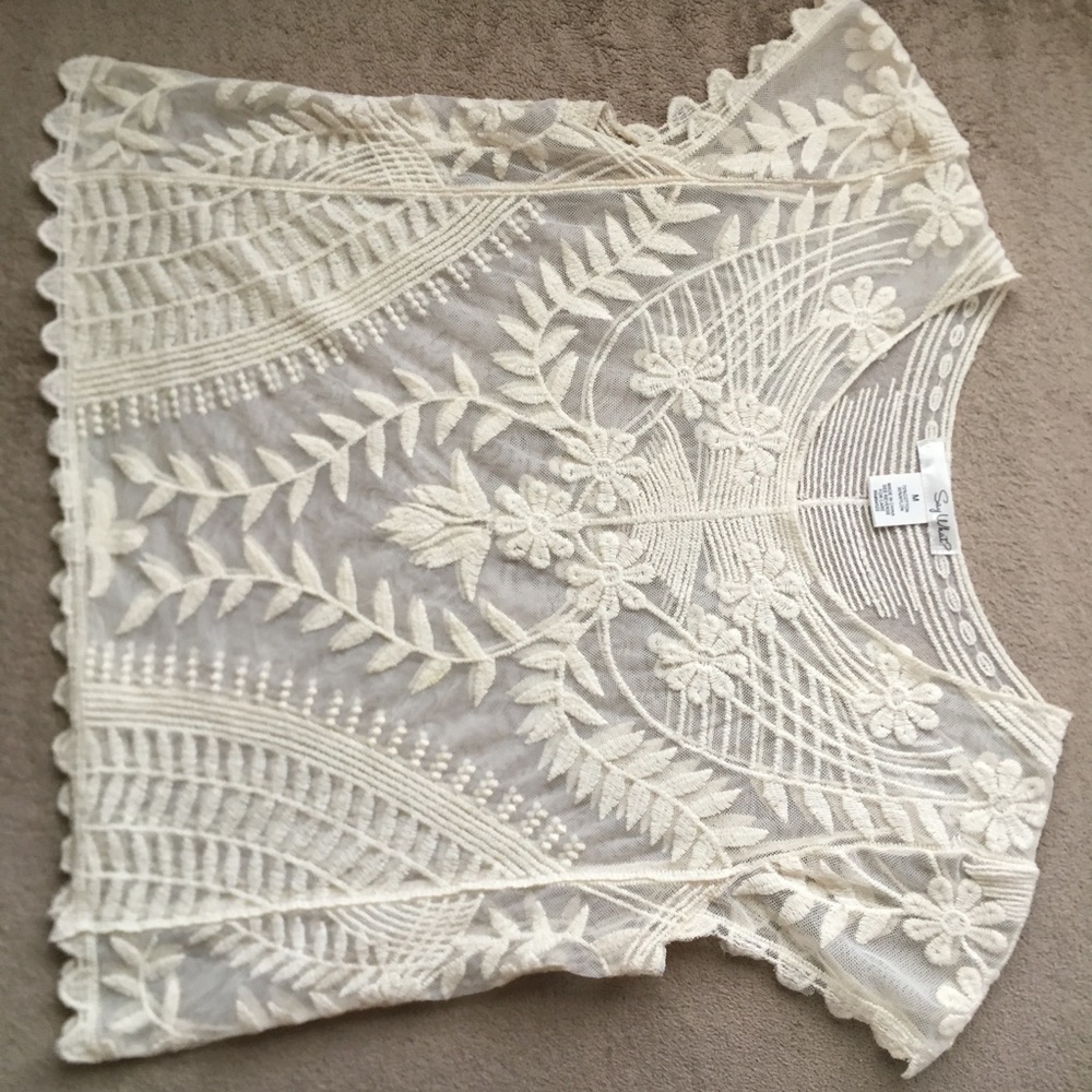 🔴LAST CHANCE🔴 Crocheted Lace Crop Top - Picture 2 of 3